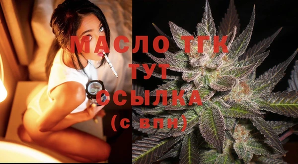 гашик Алагир