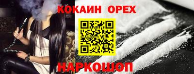 стаф Гатчина