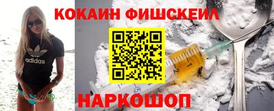 стаф Гатчина