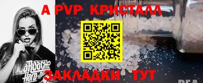 стаф Гатчина