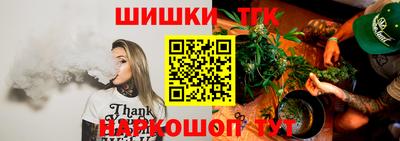 стаф Гатчина