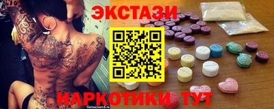 стаф Гатчина