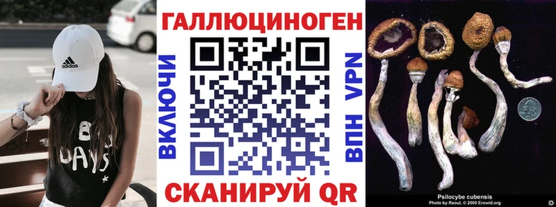 где купить наркоту  Лянтор  Галлюциногенные грибы мицелий 