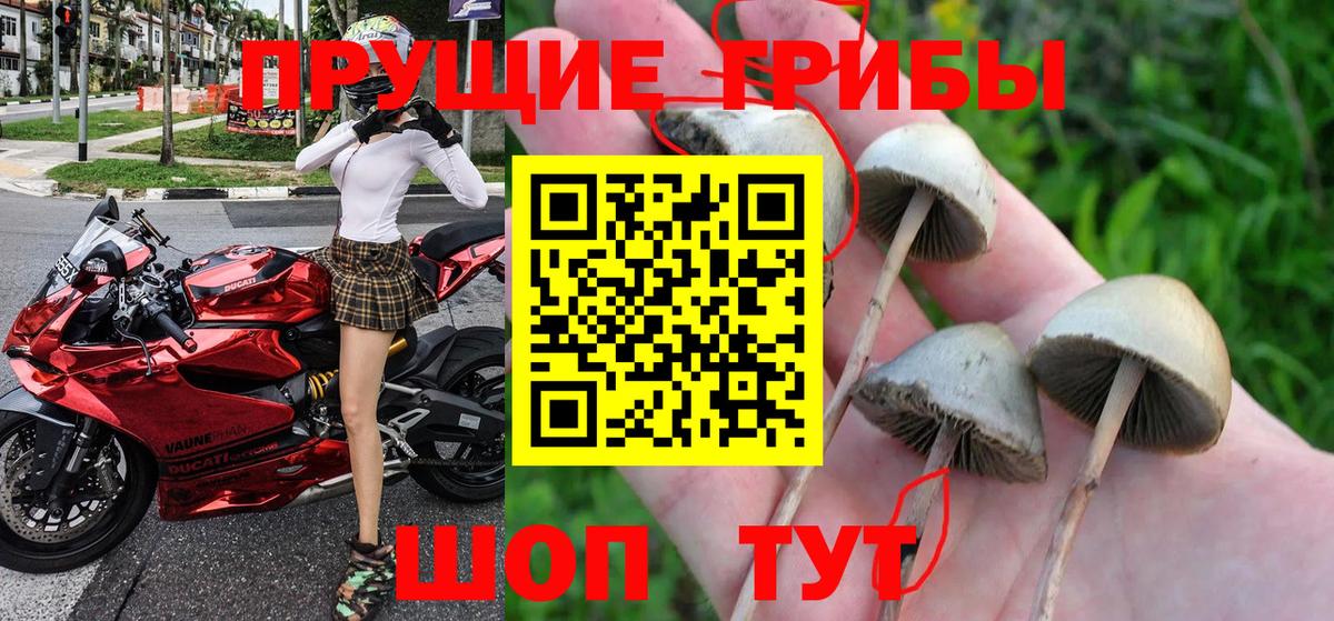 Псилоцибиновые грибы мицелий Лянтор