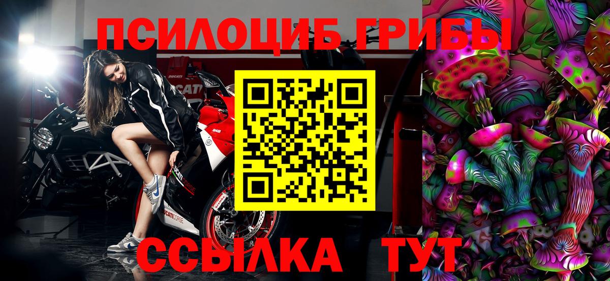 Галлюциногенные грибы Psilocybine cubensis Лянтор