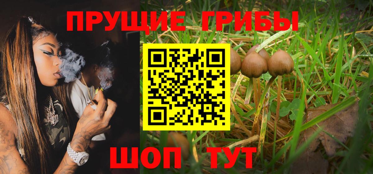 Галлюциногенные грибы Psilocybine cubensis  Псилоцибиновые грибы GOLDEN TEACHER  Вход с VPN  Лянтор 
