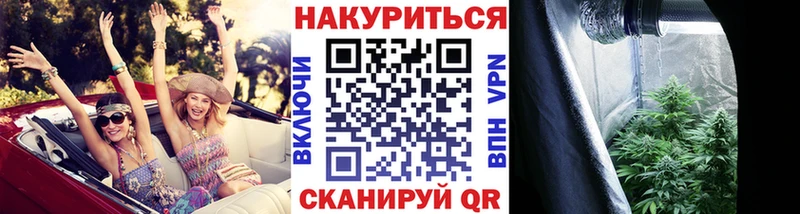 Конопля гибрид  магазин продажи наркотиков  Лянтор 